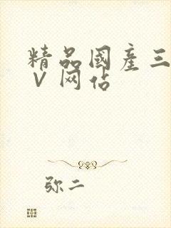 精品国产三级a∨网站