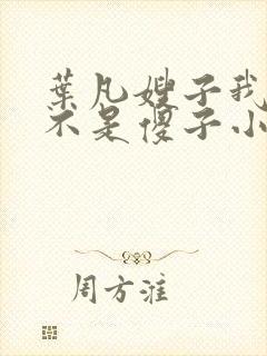 叶凡嫂子我真的不是傻子小说