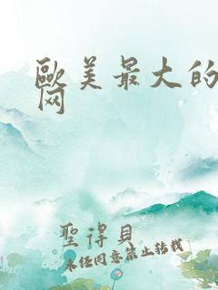 欧美最大的成人网