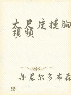 大尺度摸胸床戏视频