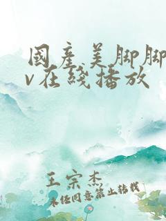 国产美脚脚交av在线播放