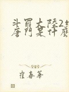 斗罗大陆2绝世唐门是什么