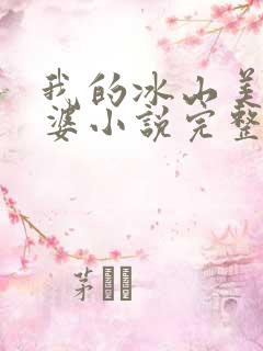 我的冰山美女老婆小说完整