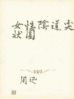 女性阴道尖锐症状图