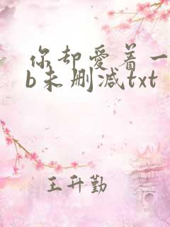 你却爱着一个sb未删减txt