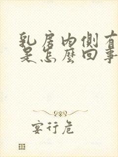 乳房内侧有硬块是怎么回事