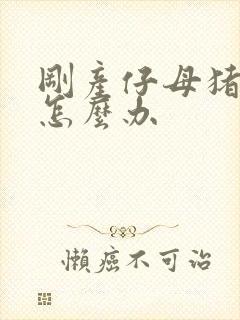 刚产仔母猪没奶怎么办