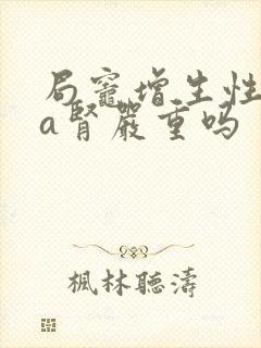 局灶增生性iga肾严重吗