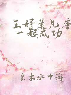 王婿叶凡唐若雪 一起成功