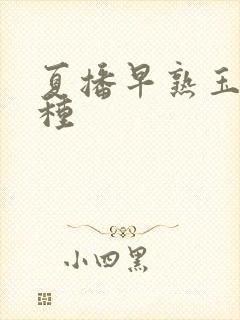 夏播早熟玉米品种