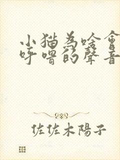 小猫为啥会发出呼噜的声音