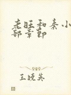 老旺和秦小雨全部章节