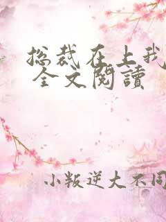 总裁在上我在下 全文阅读