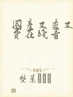 国产又爽又黄免费在线看