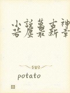 小说万古神帝张若尘最新章节阅读