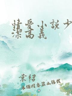 情爱小说少妇白洁高义