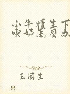 小牛犊生下来不吃奶怎么办