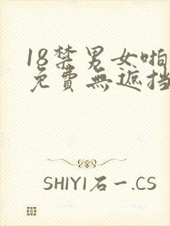 18禁男女啪啪免费无遮挡