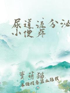 尿道流分泌物 小便疼