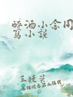 醉酒小念同人续写小说