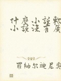 什么小说软件看小说没有广告