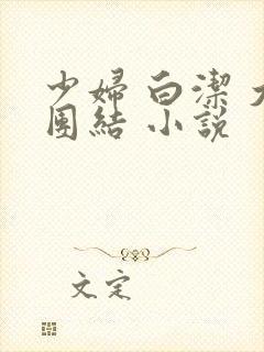 少妇 白洁 大团结 小说
