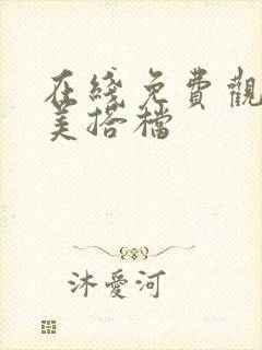 在线免费观看完美搭档