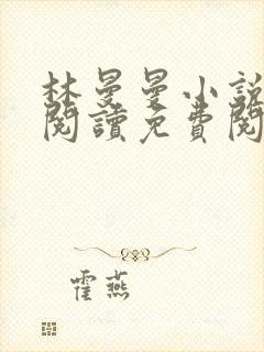 林曼曼小说全文阅读免费阅读全文