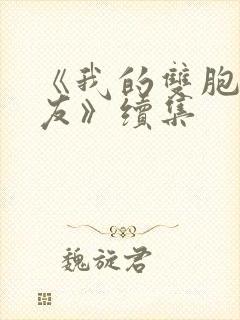 《我的双胞胎女友》续集