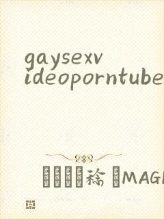 gaysexvideoporntube