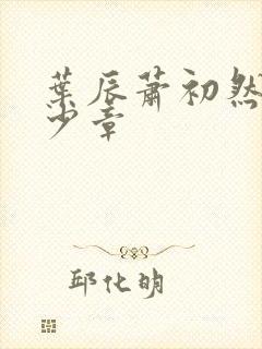 叶辰萧初然共多少章