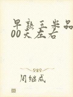 早熟玉米品种100天左右