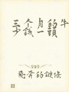 三个月的牛犊多少钱一头