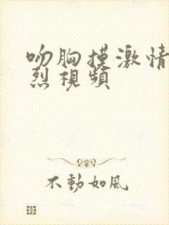 吻胸摸激情床激烈视频