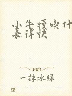 小牛犊吃什么料长得快