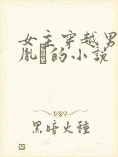 女主穿越男主是胤礽的小说