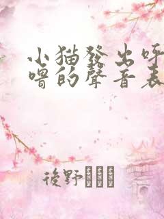 小猫发出呼噜呼噜的声音表示什么