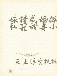 嫁错成婚总裁的私宠甜妻小说