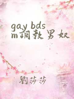 gay bdsm调教男奴