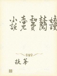 小志和林姨的小说免费阅读全文