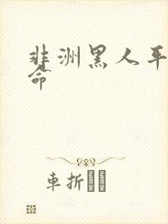 非洲黑人平均寿命