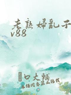 老熟妇乱子伦av88