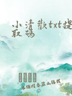 小清欢txt提取码