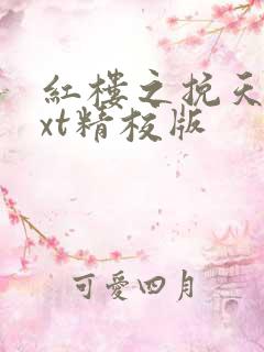 红楼之挽天倾txt精校版