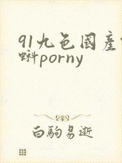 91九色国产蝌蚪porny