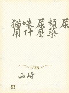 猫咪尿频尿不尽用什么药