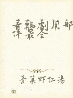 看韩剧用哪个软件最全