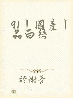 91丨国产丨精品白丝