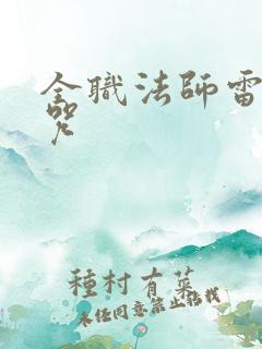 全职法师雷系禁咒