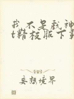 我不是戏神txt精校版下载